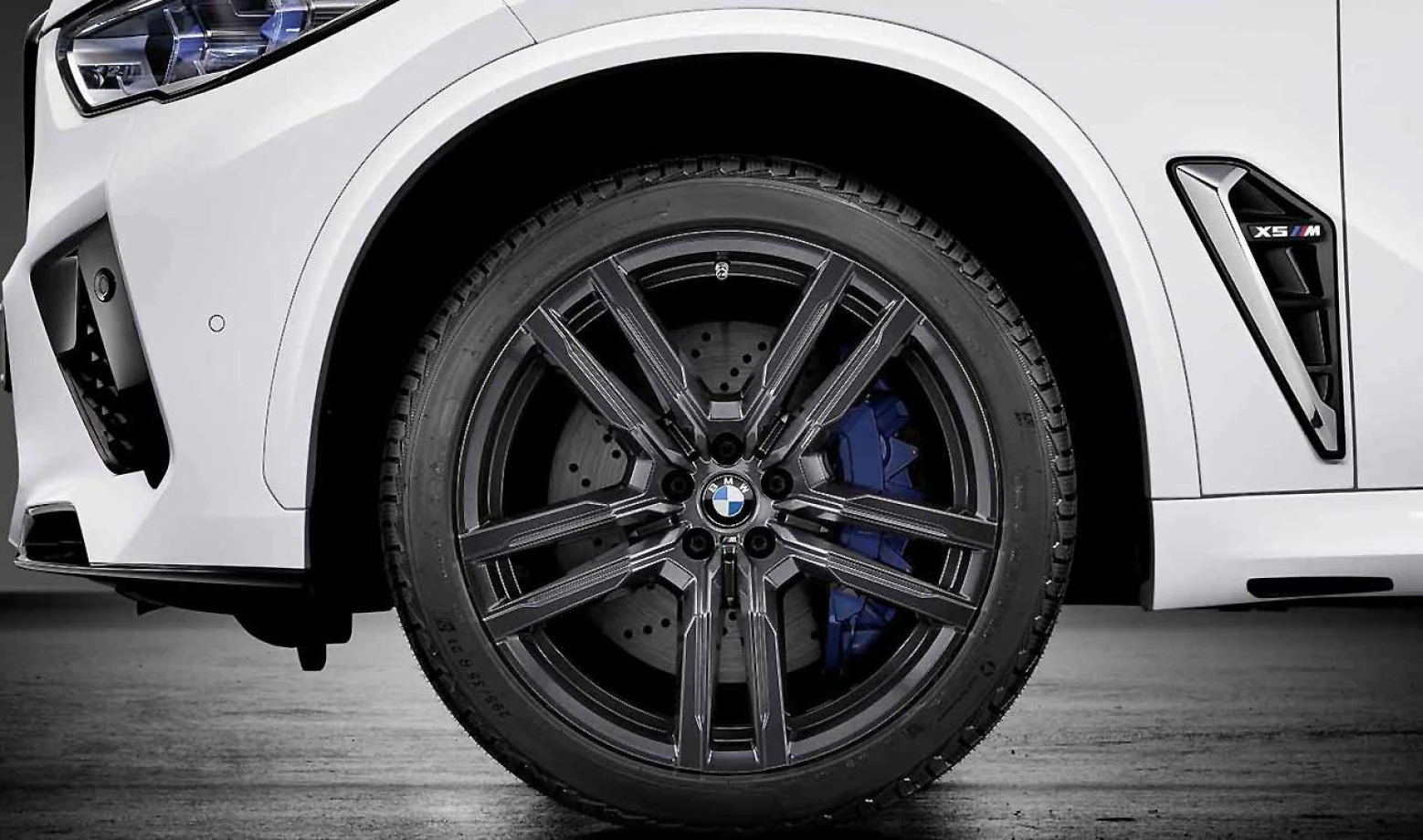Зимове колесо F95/F96 295/35 R21 107V Michelin Pilot Alpin 5 SUV