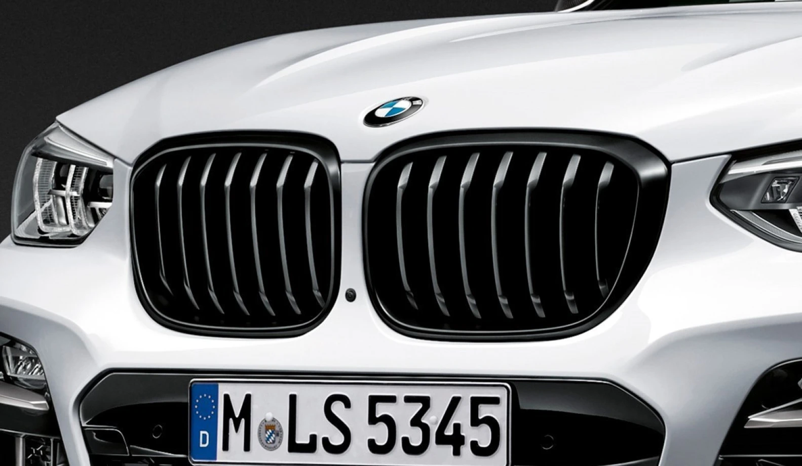 Передня решітка BMW M Performance X3 (G01) / X4 (G02)
