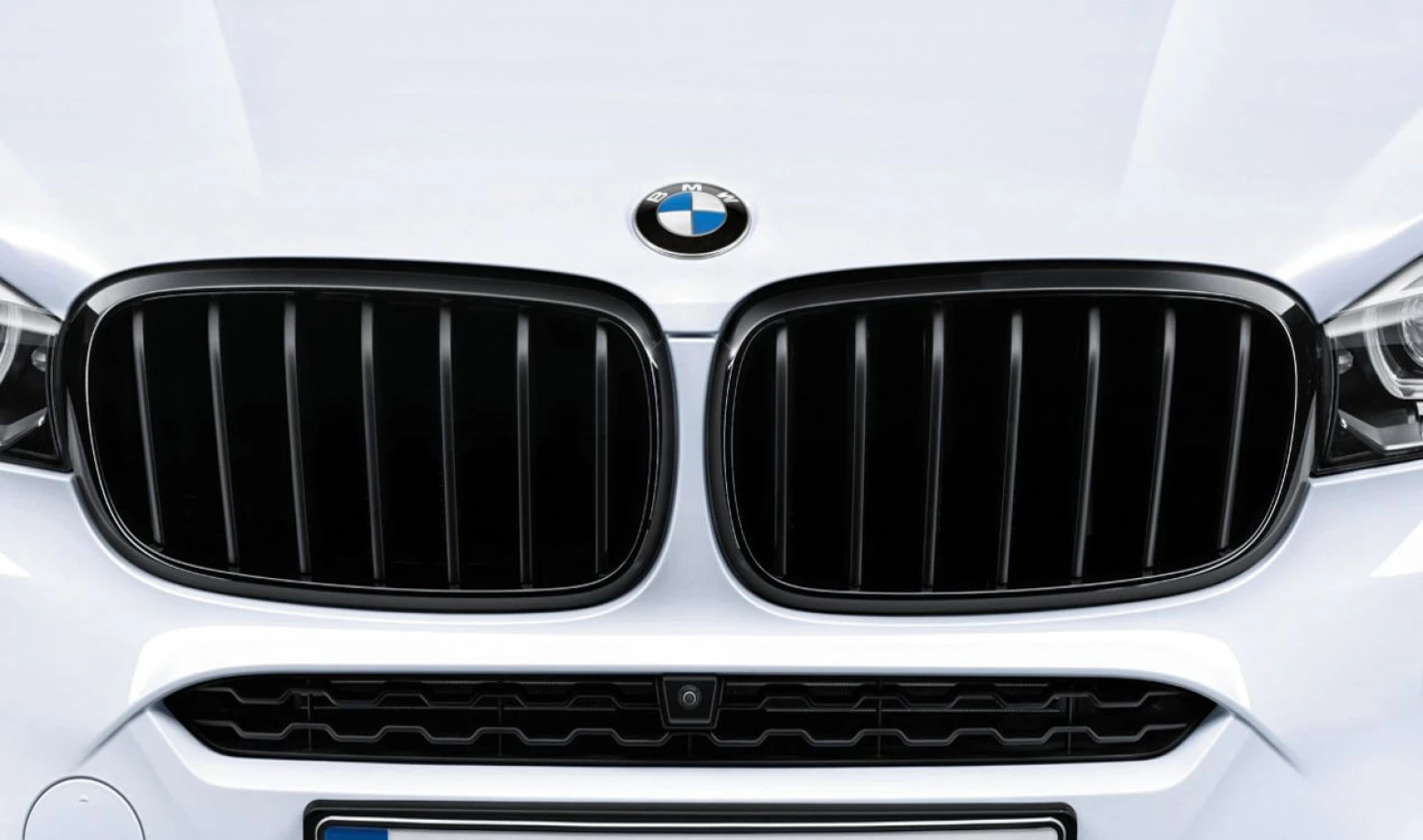Передня решітка BMW M Performance Black X5 (F15), X6 (F16)