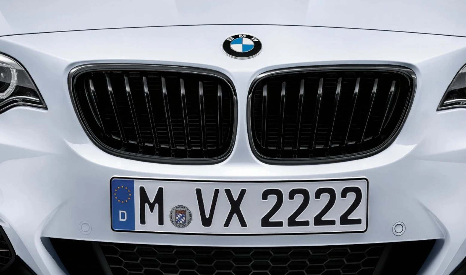 Передня решітка BMW M Performance (Ліва / Права)